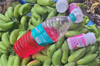 Udupi: Officials raid banana storage centres over use of harmful chemicals